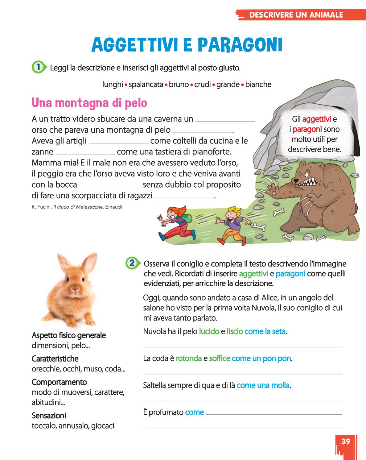 Prima Fila 3 Imparo A Scrivere Vebuka Com