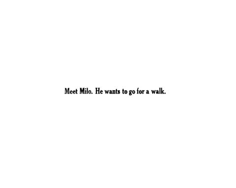 Run Fast, Milo! ( 预览 ) 第 4 页