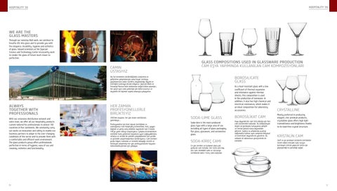 Servitel 家具目录 · Cristaleria pasabahce catalogo 综合 2020 第 4 页