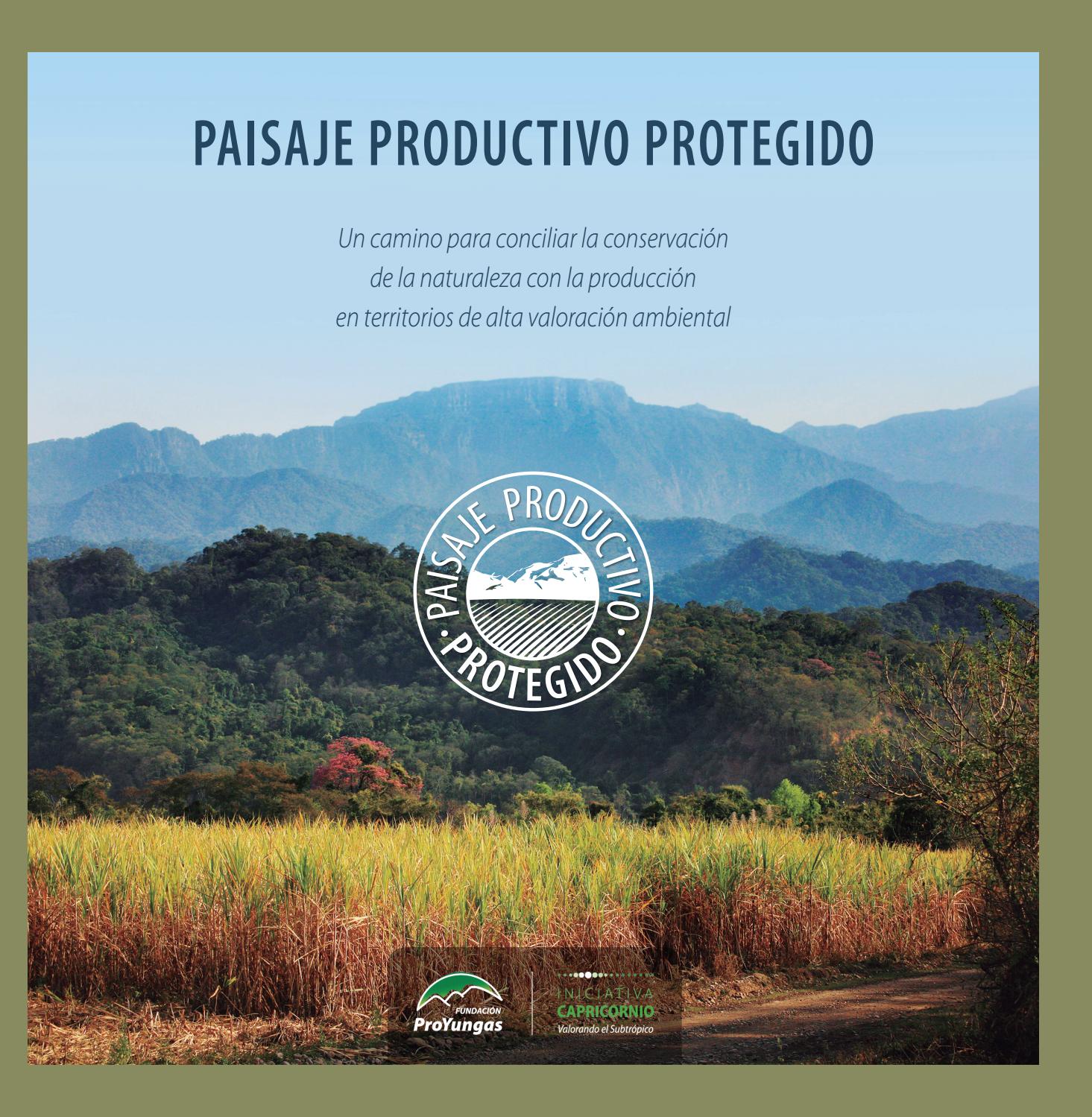 Programa Paisaje Productivo Protegido By Fundaci n ProYungas Issuu