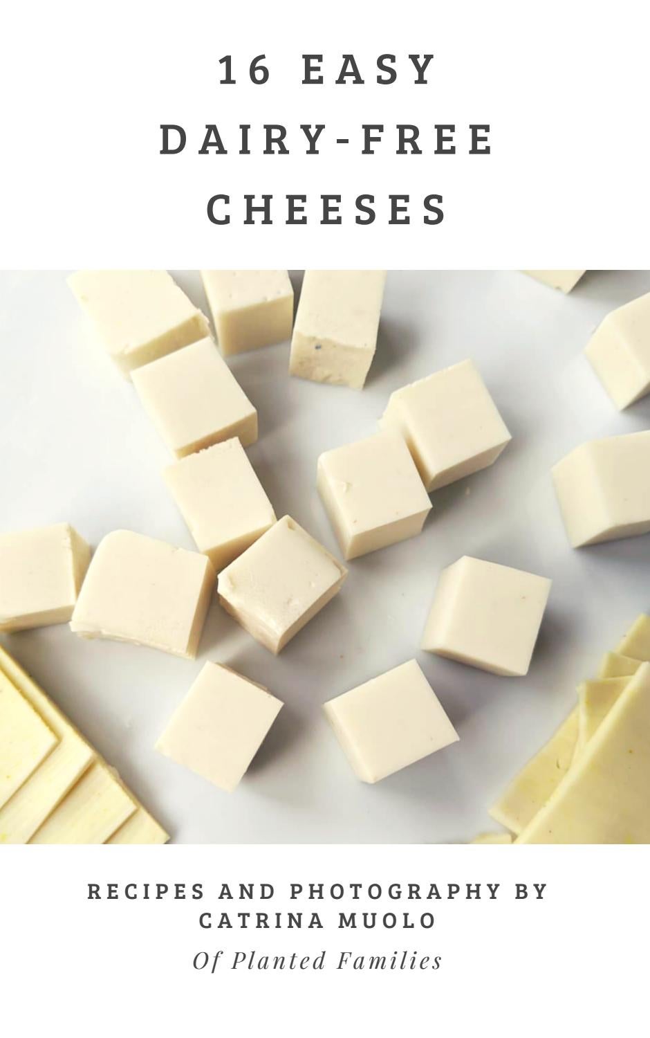 16 Easy DairyFree Cheeses by Catrina Muolo Issuu