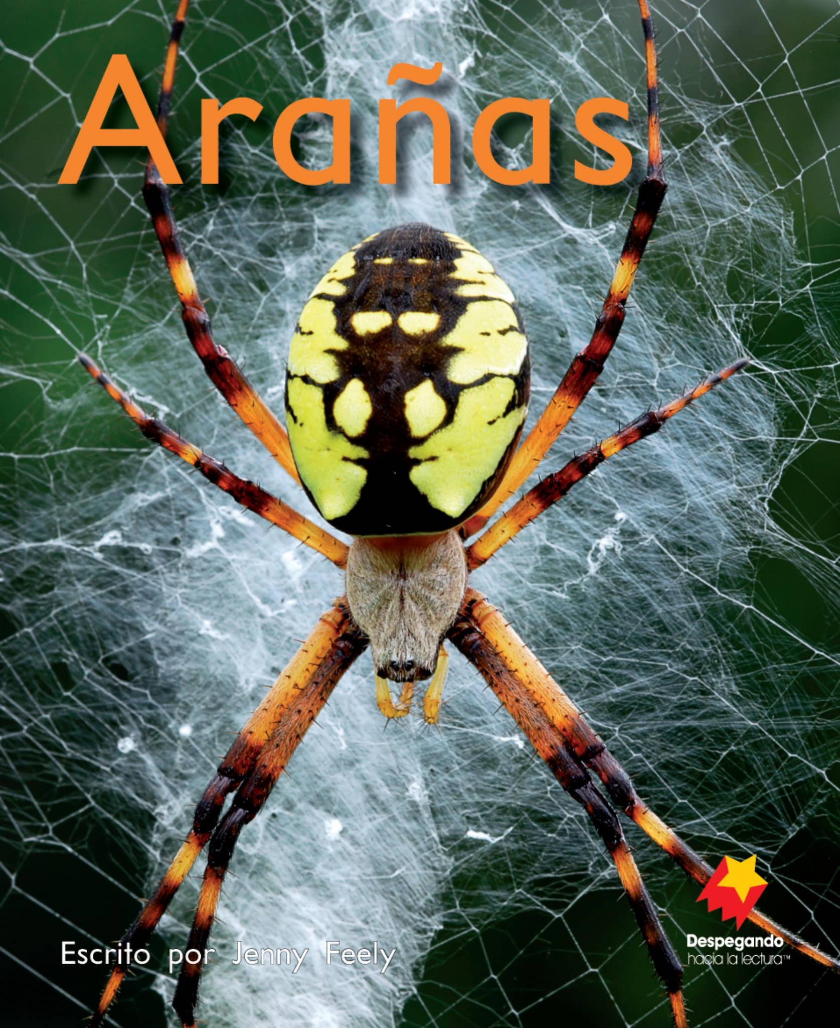 Spiders Spanish Book (Arañas) by Okapi - Issuu