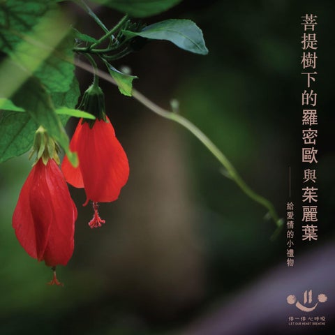 菩提樹下的羅密歐與茱麗葉 By Changlinfashi Issuu