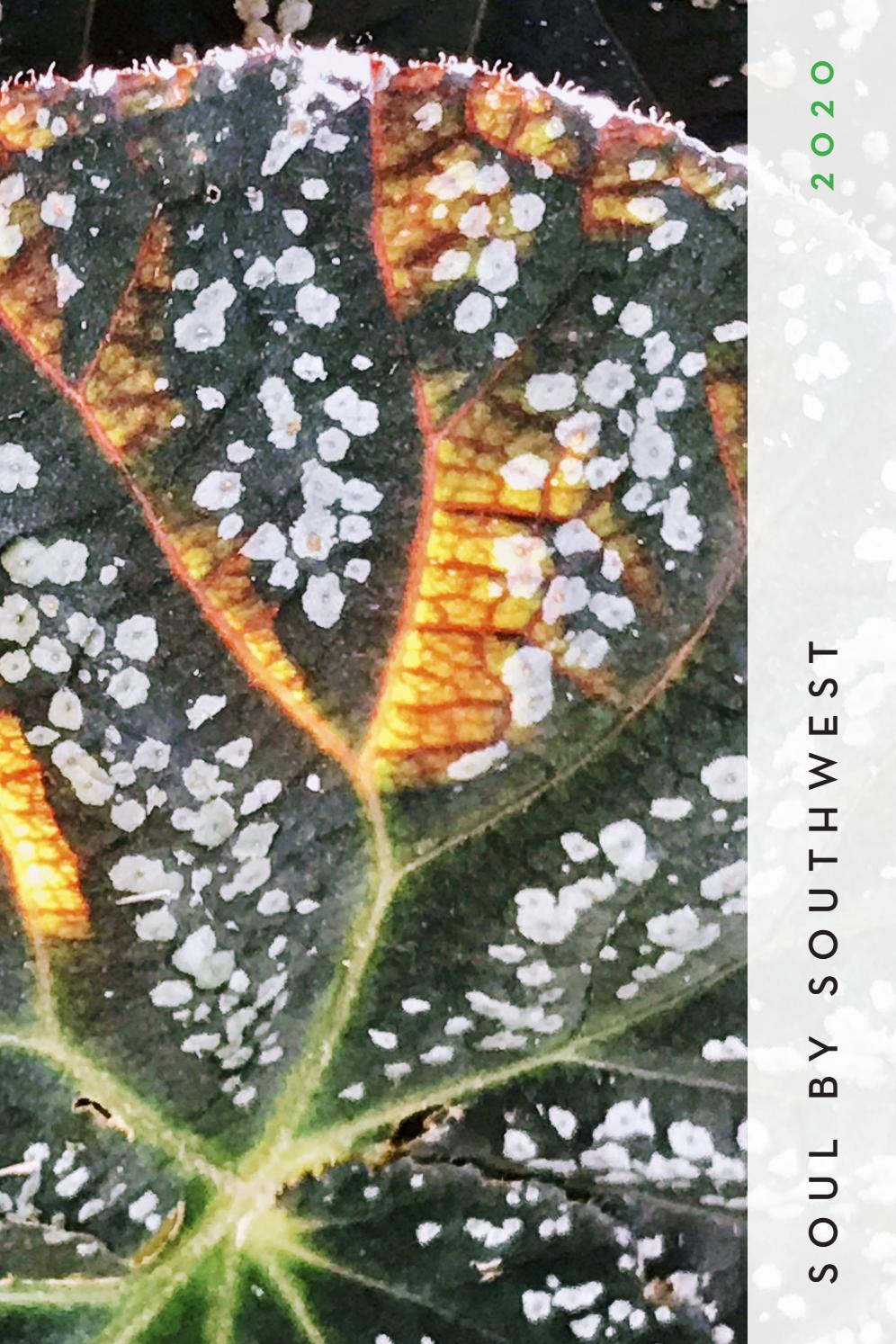 Soul By Southwest 2020 By Seminaryofthesouthwest Issuu