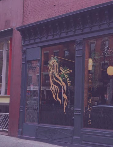 Euphoric Branding: The Rise of a Dispensary 第 4 页