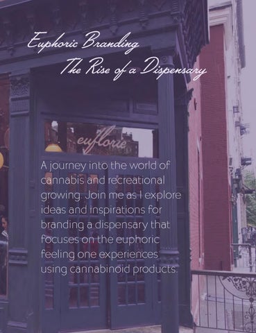 Euphoric Branding: The Rise of a Dispensary 第 5 页