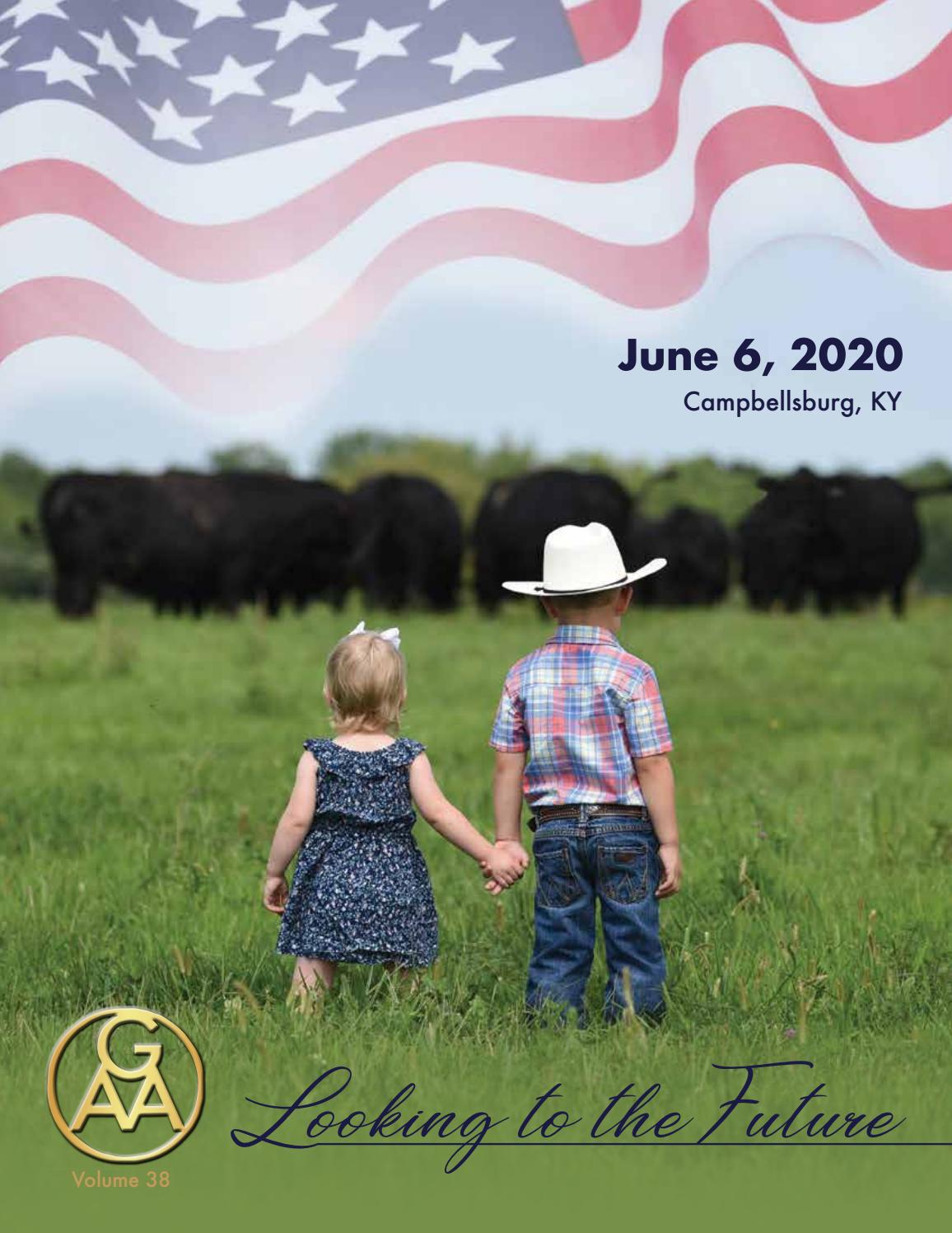 Great Meadows Spring 2020 Angus Sale by Barbour Marketing Solutions