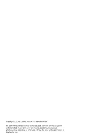 Galerie Joaquin Group of Galleries Let the Sunshine In 灯饰目录 第 2 页