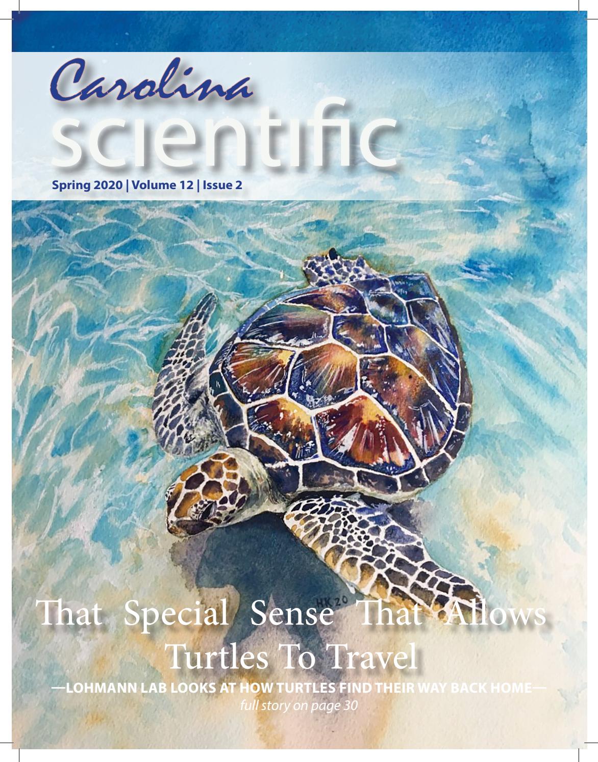 Spring 2020 That Special Sense That Allows Turtles To Travel by