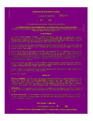 javier ramos c-v 11-2019 英文 第 16 页