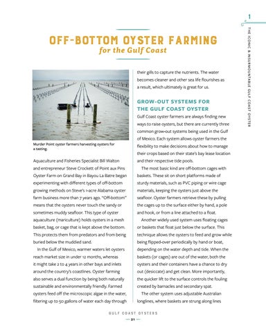 Gulf Coast Oysters ( 预览 ) 第 23 页