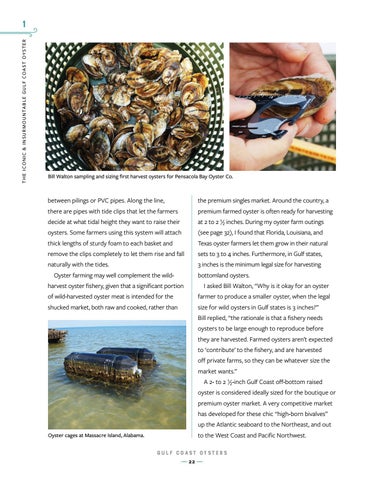 Gulf Coast Oysters ( 预览 ) 第 24 页