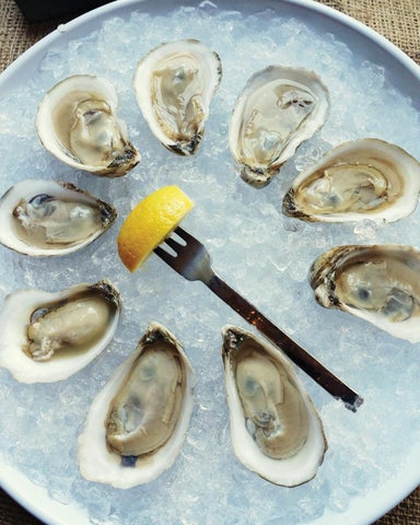 Gulf Coast Oysters ( 预览 ) 第 4 页