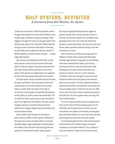 Gulf Coast Oysters ( 预览 ) 第 8 页