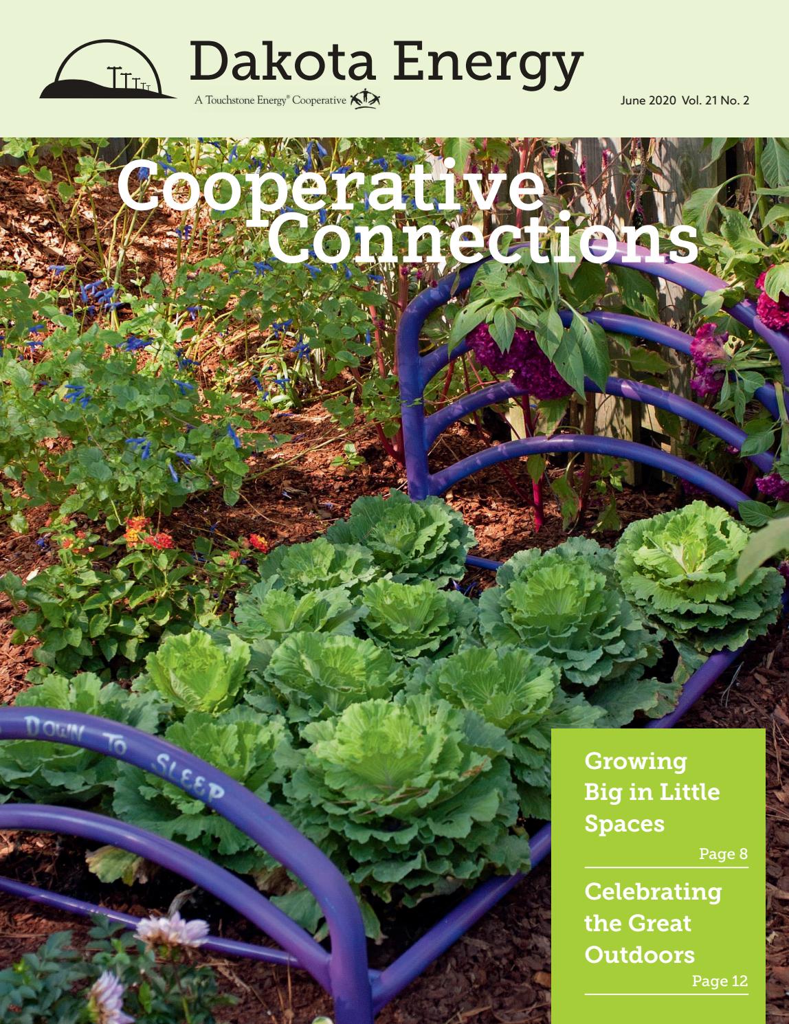 Dakota Energy's Cooperative Connections June 2020 by Dakota Energy