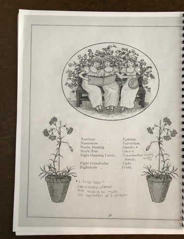Floriography: Bridging Traditional and 现代 Forms of Communication 第 18 页
