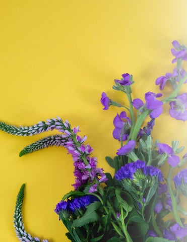 Floriography: Bridging Traditional and 现代 Forms of Communication 第 22 页