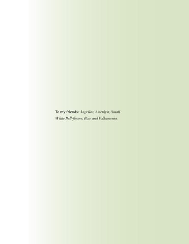Floriography: Bridging Traditional and 现代 Forms of Communication 第 5 页
