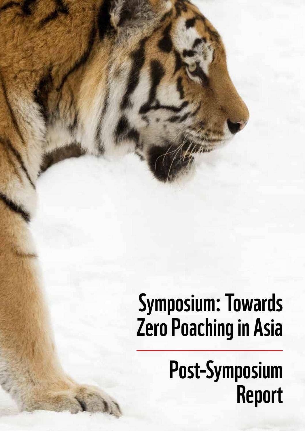 Zero Poaching Zero Poaching by WWF Tigers Alive - Issuu