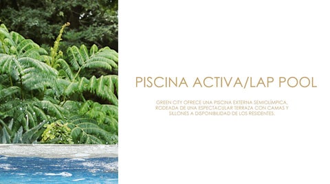 Green City Lots and Homes in Costa Rica 第 17 页
