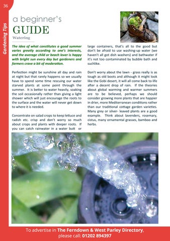 Page 36