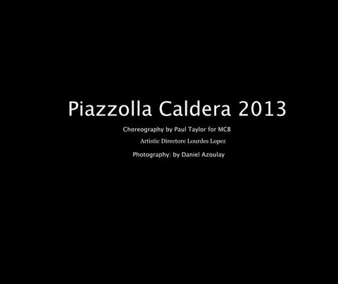 Piazzolla Caldera 2013 MCB Draft 2 第 5 页