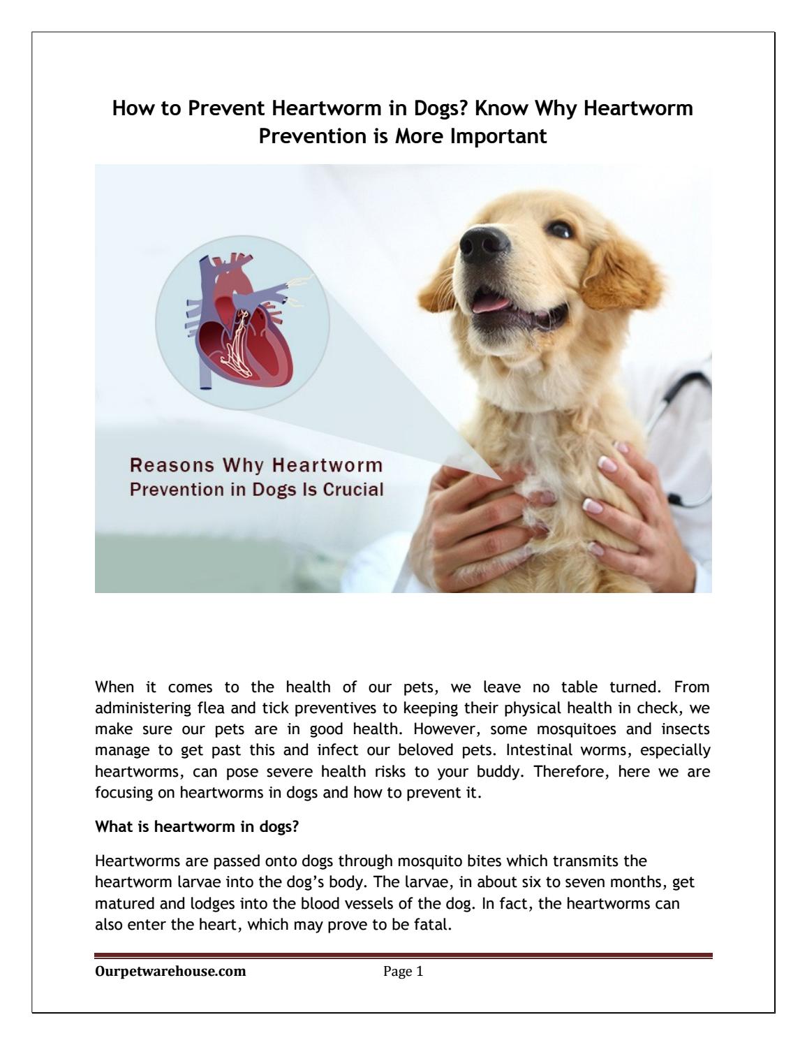 prevent heartworm