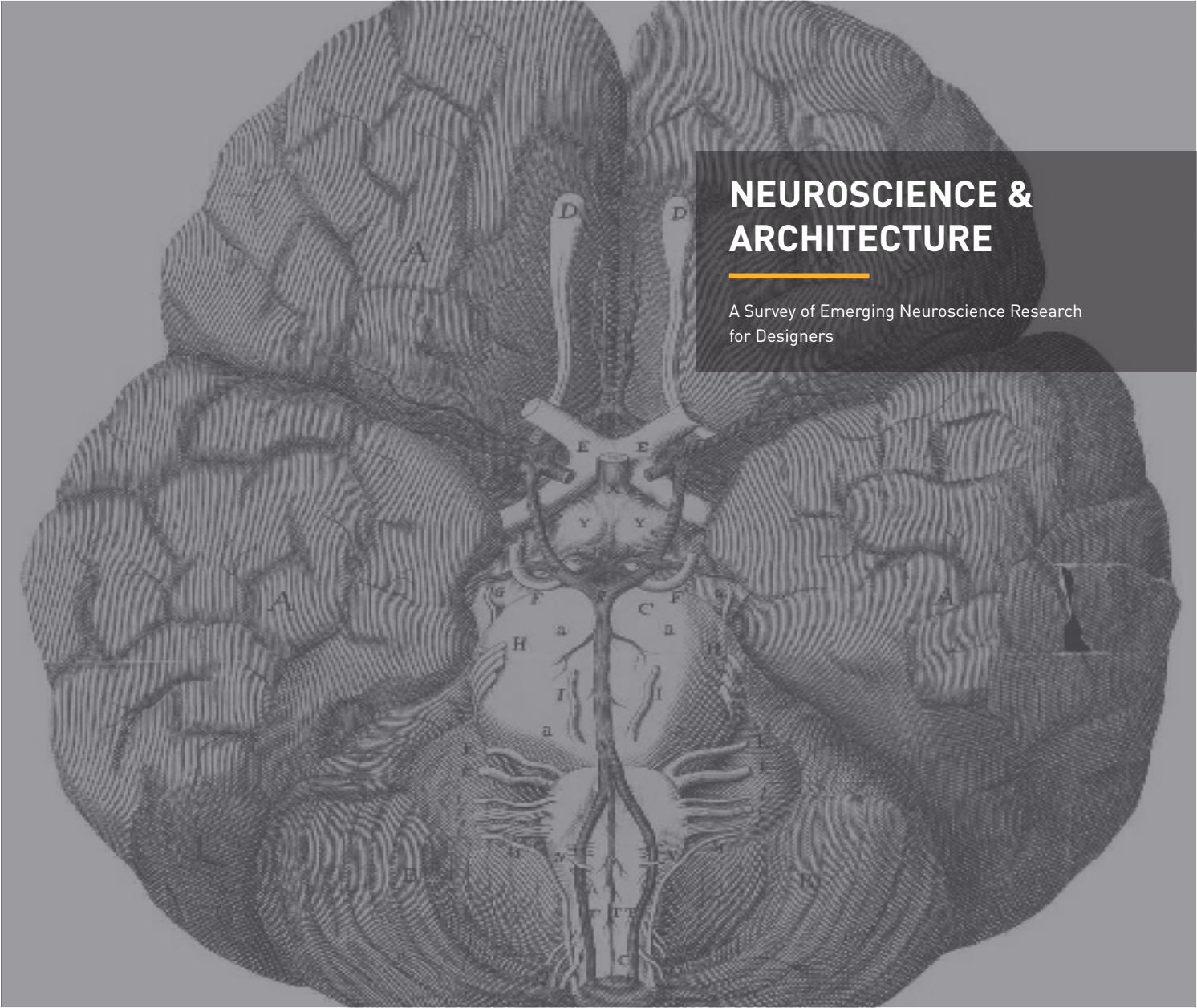 Neuroscience Architecture By Lake Flato Issuu