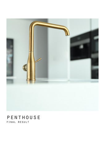 Penthouse 第 18 页
