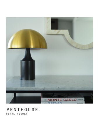Penthouse 第 20 页