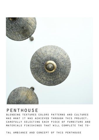 Penthouse 第 2 页