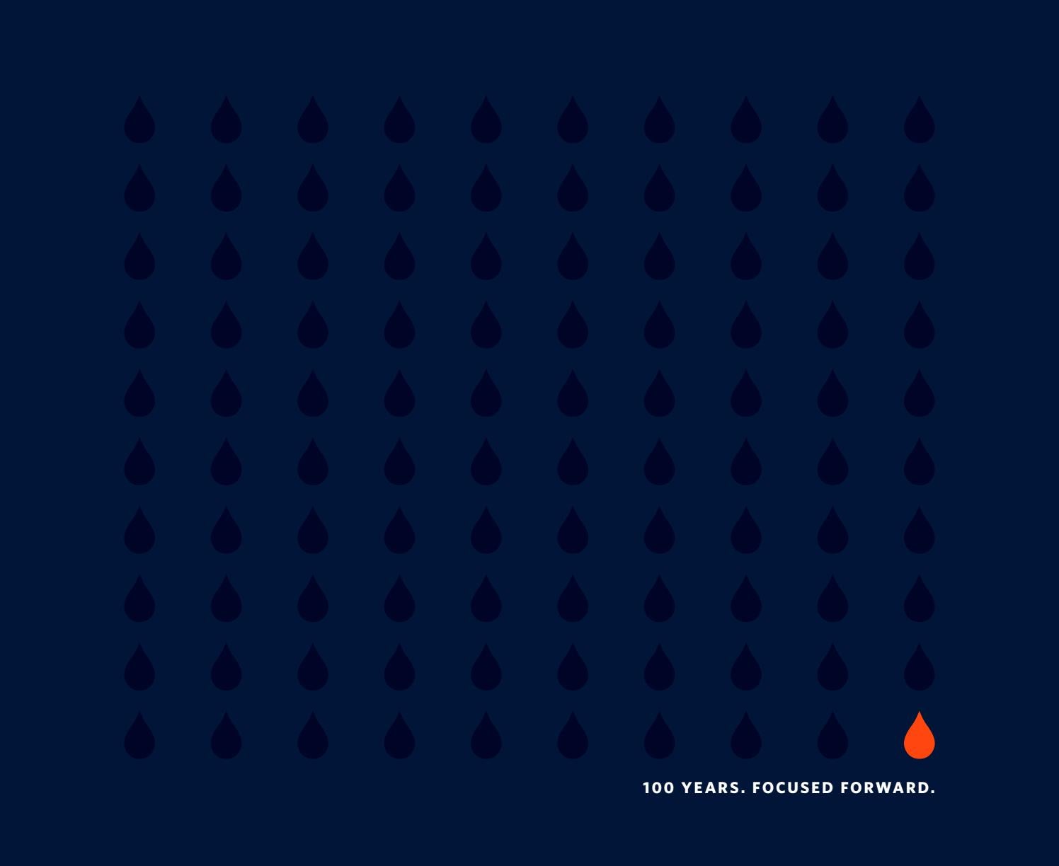Community Foundation For Greater Buffalo 2019 Annual Report By 
