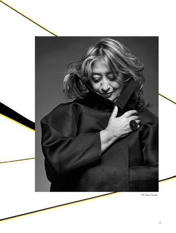 Zaha Hadid 灯饰产品集 小册 - 意文 第 3 页