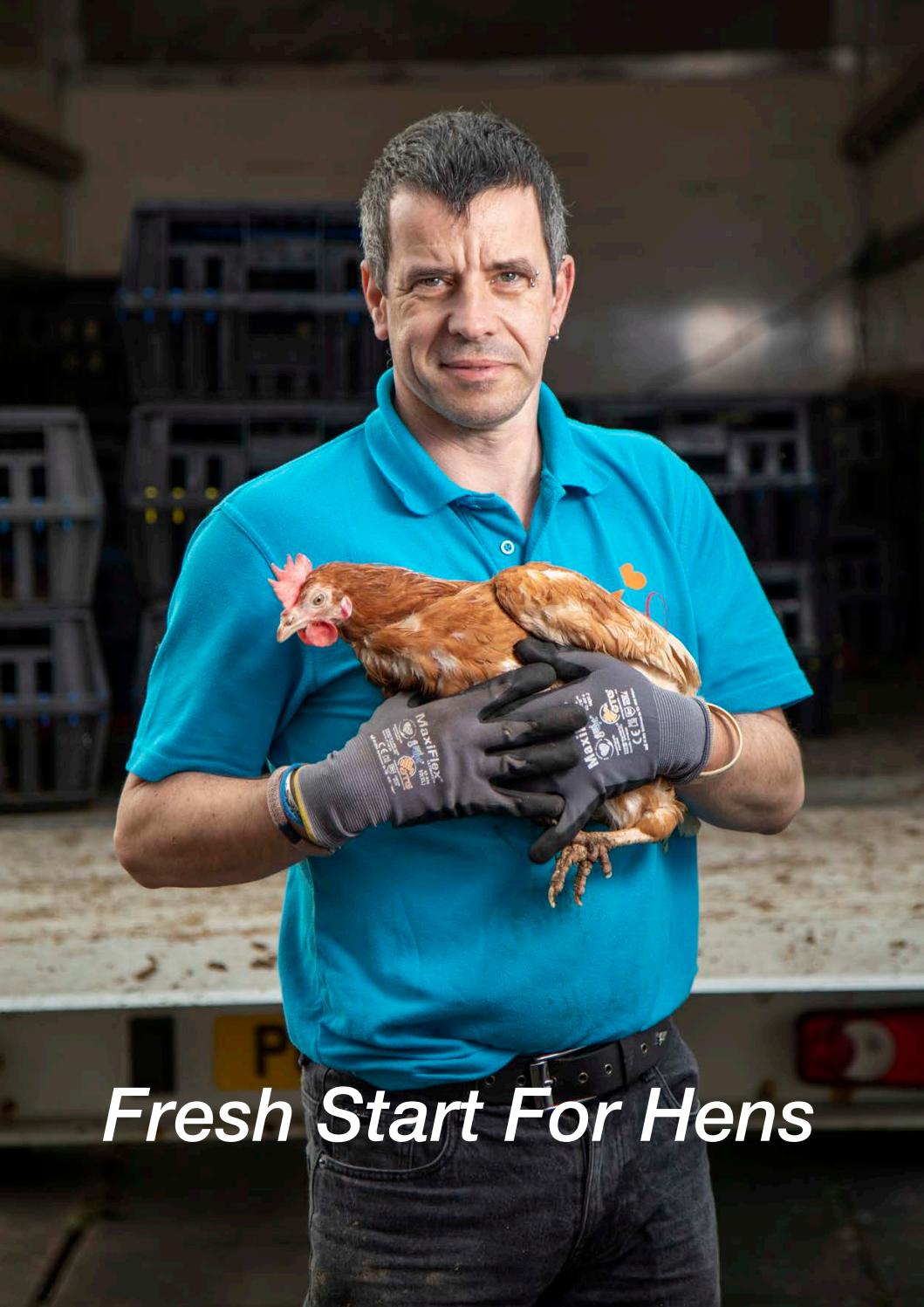Fresh Start For Hens By Sarah Thornton By Art And Design At The University Of Chester Issuu
