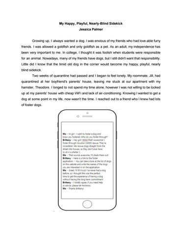 Unmasking Our Writing: AOS Faculty Abydos 2020 第 24 页