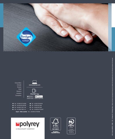 POLYREY - BROCHURE - Sanitized - EN by Wilsonart - Issuu
