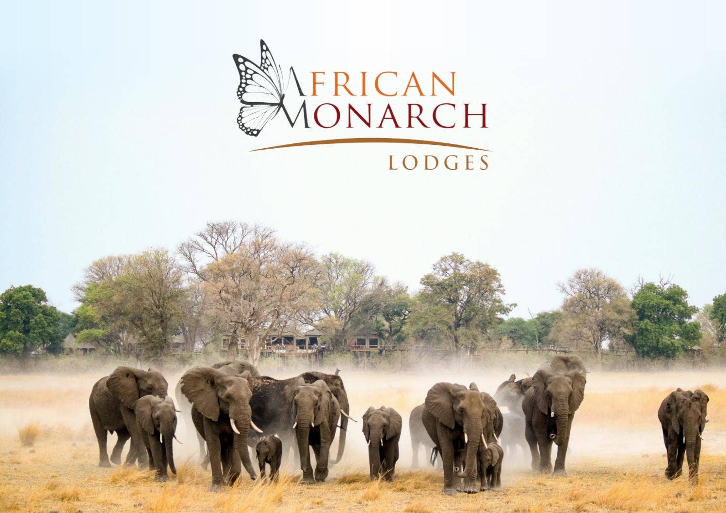 african-monarch-lodges-brochure-by-venture-media-issuu
