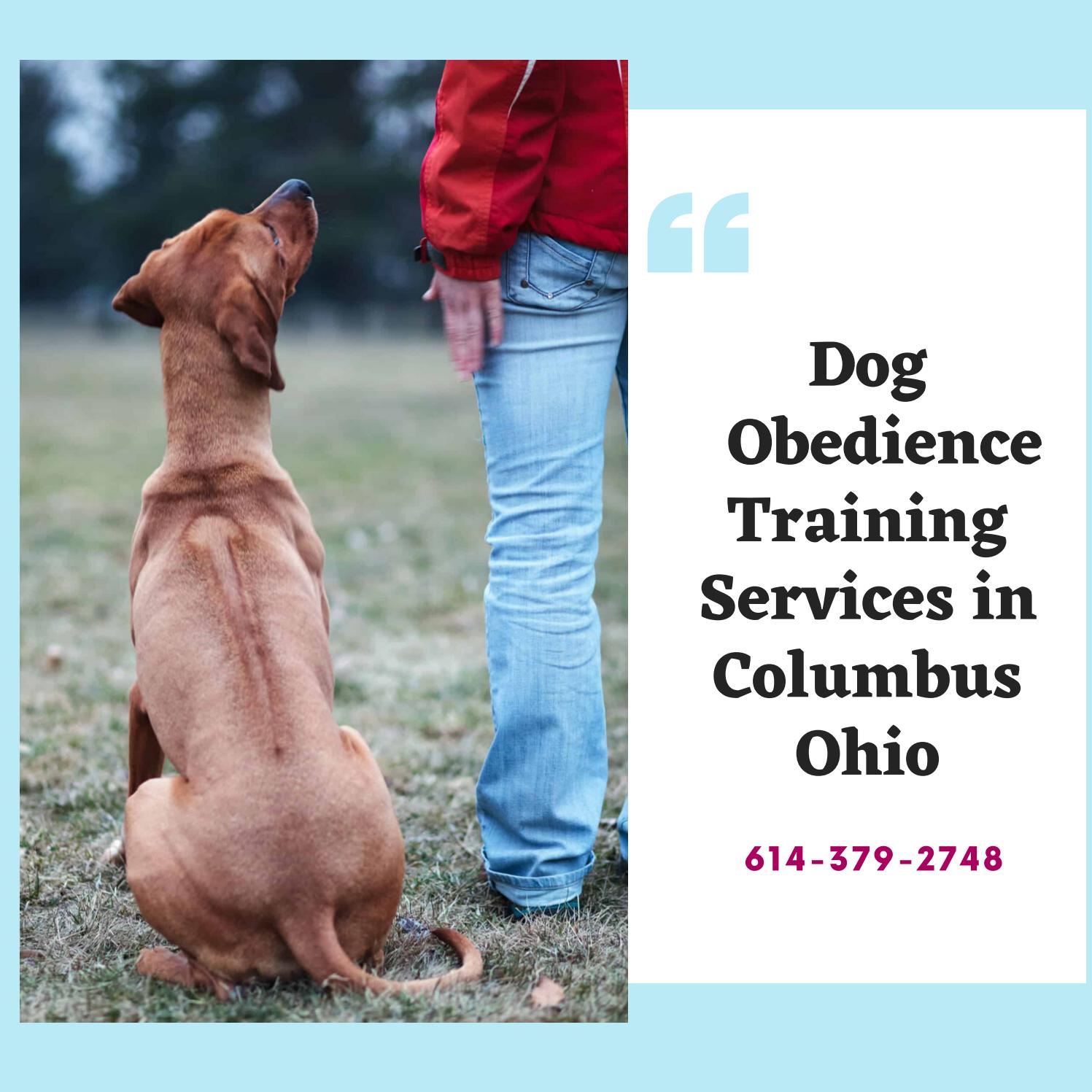 Dog Obedience Training Services in Columbus Ohio by PeterParkar Issuu