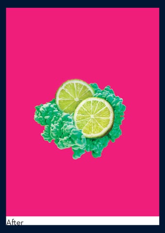 FOOD PORTFOLIO 第 3 页