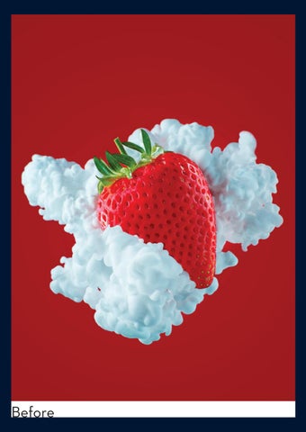 FOOD PORTFOLIO 第 4 页
