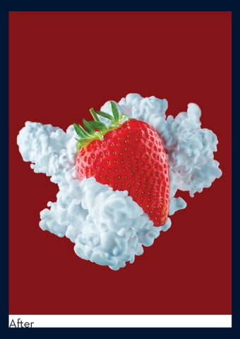 FOOD PORTFOLIO 第 5 页