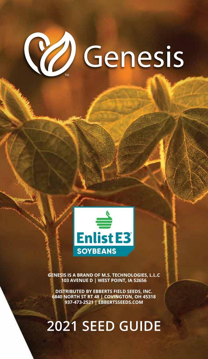 Enlist E3 Catalog by EbbertsSeeds Issuu