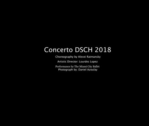 Concerto DSCH 2018 第 5 页