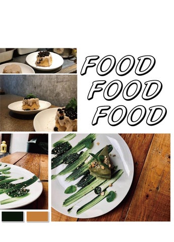 NEW PORTFOLIO 第 19 页