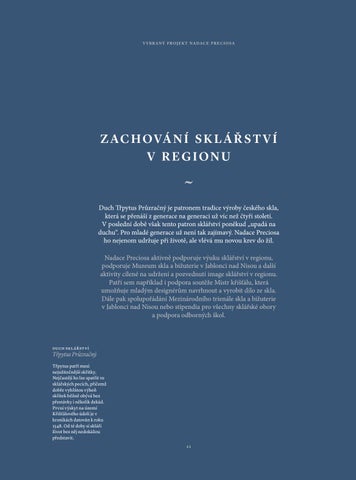 Výroční zpráva - Nadace Preciosa 第 11 页