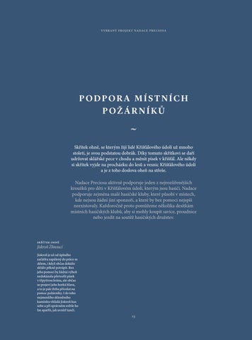 Výroční zpráva - Nadace Preciosa 第 13 页