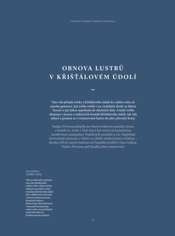 Výroční zpráva - Nadace Preciosa 第 15 页