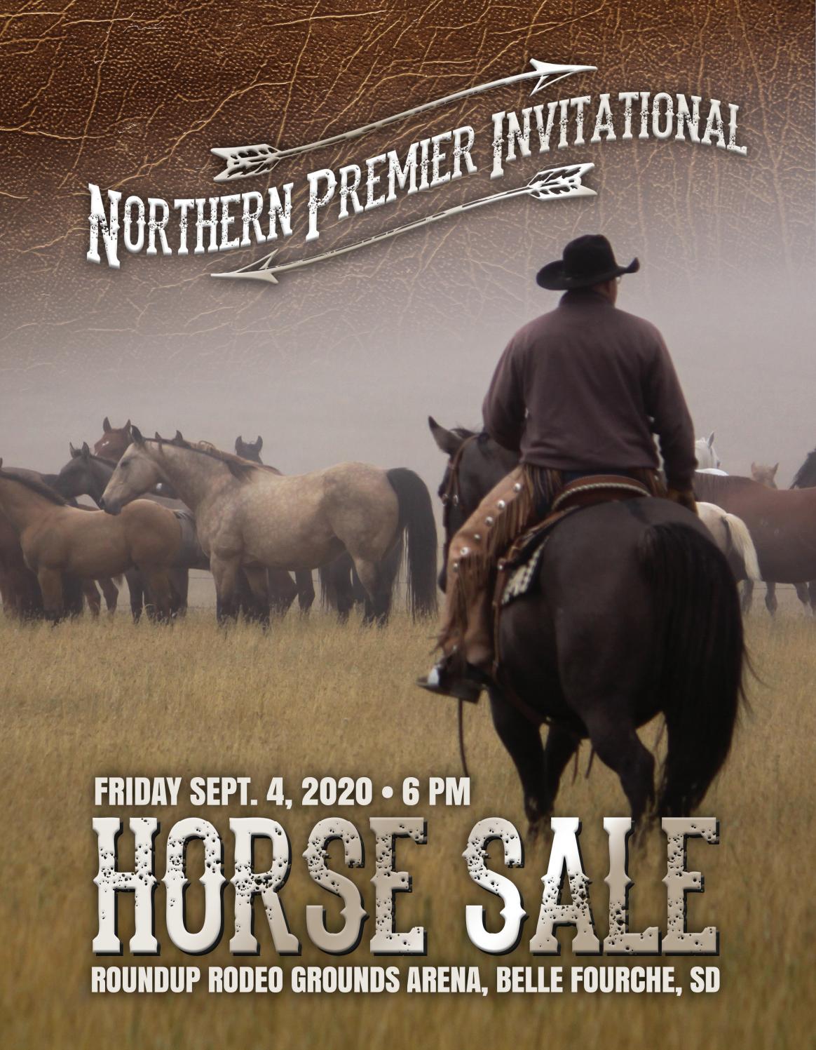 Northern Premier Horse Sale by TriState Livestock News Farmer