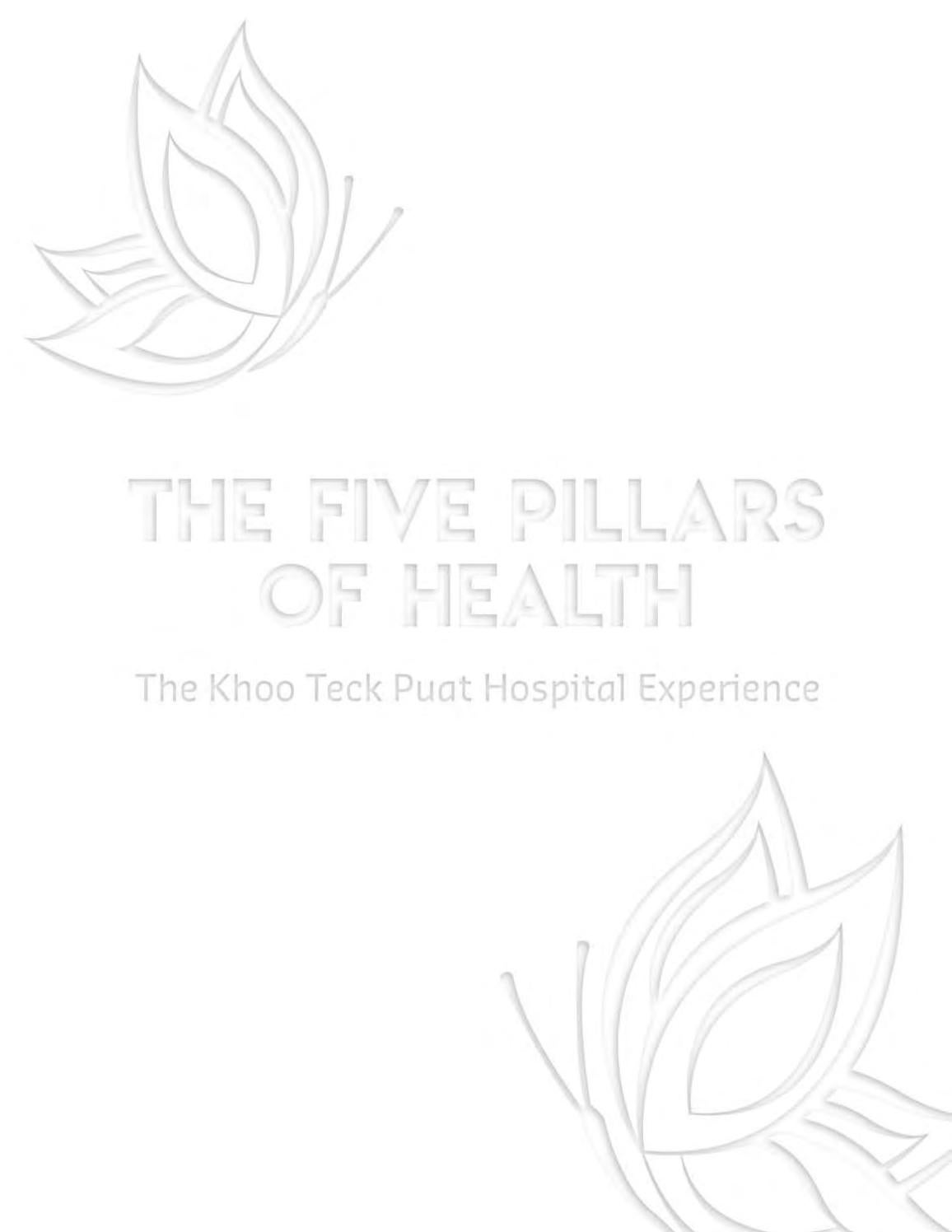 The Five Pillars Of Health The Khoo Teck Puat Hospital Experience by