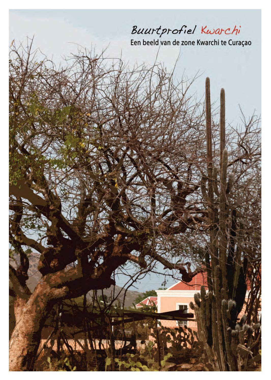 Buurtprofiel Kwarchi by Biblioteka Nashonal Korsou - Issuu
